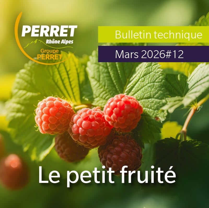 Petit fruité mars 2026 framboise