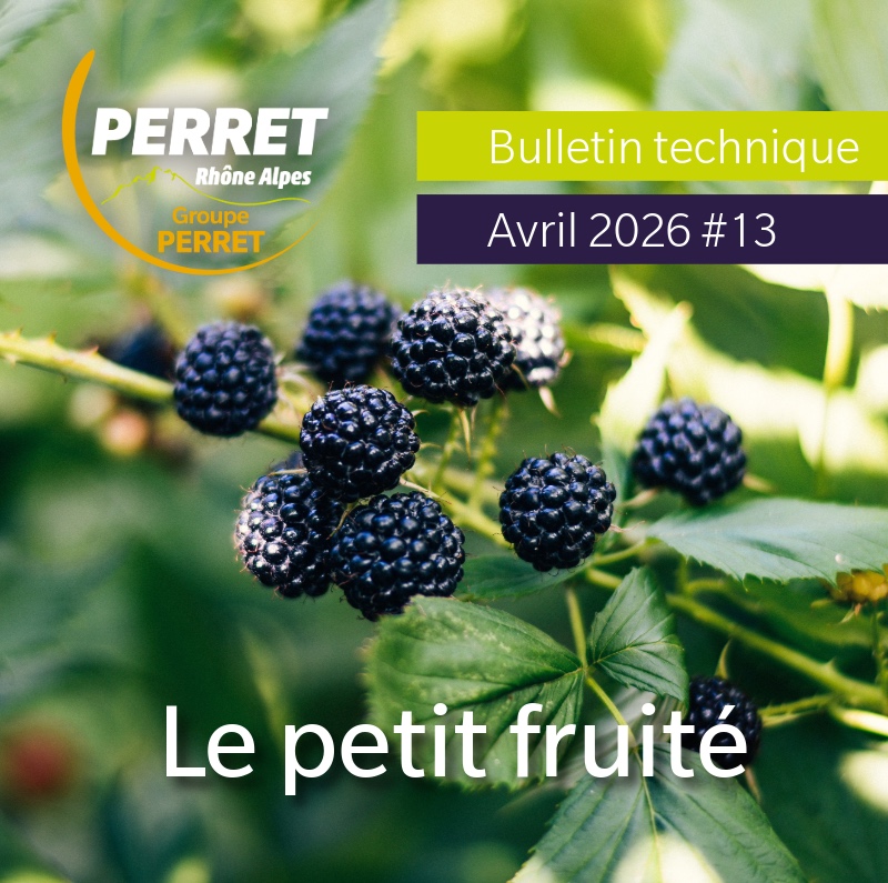 Le petit fruité avril 2026