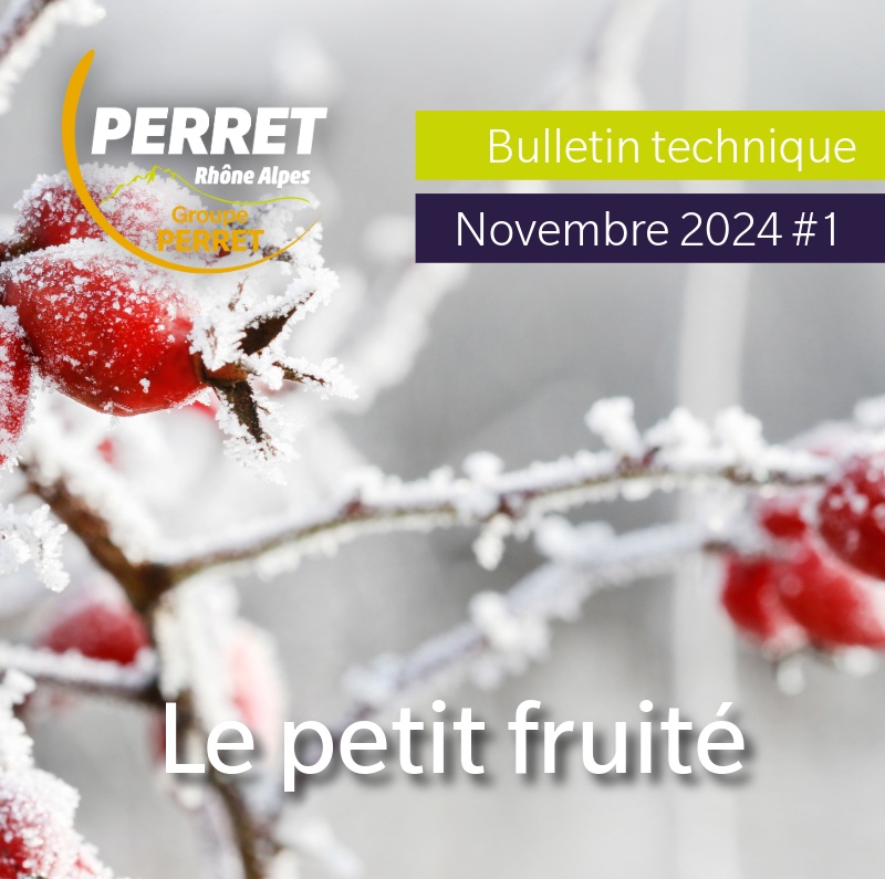 Le Petit fruité novembre 2024