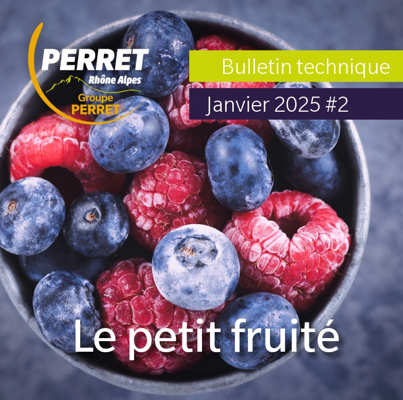 le petit fruité janvier 2025