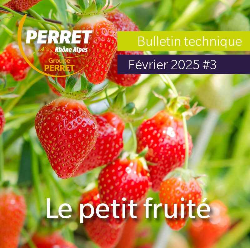 Le petit fruité février 2025