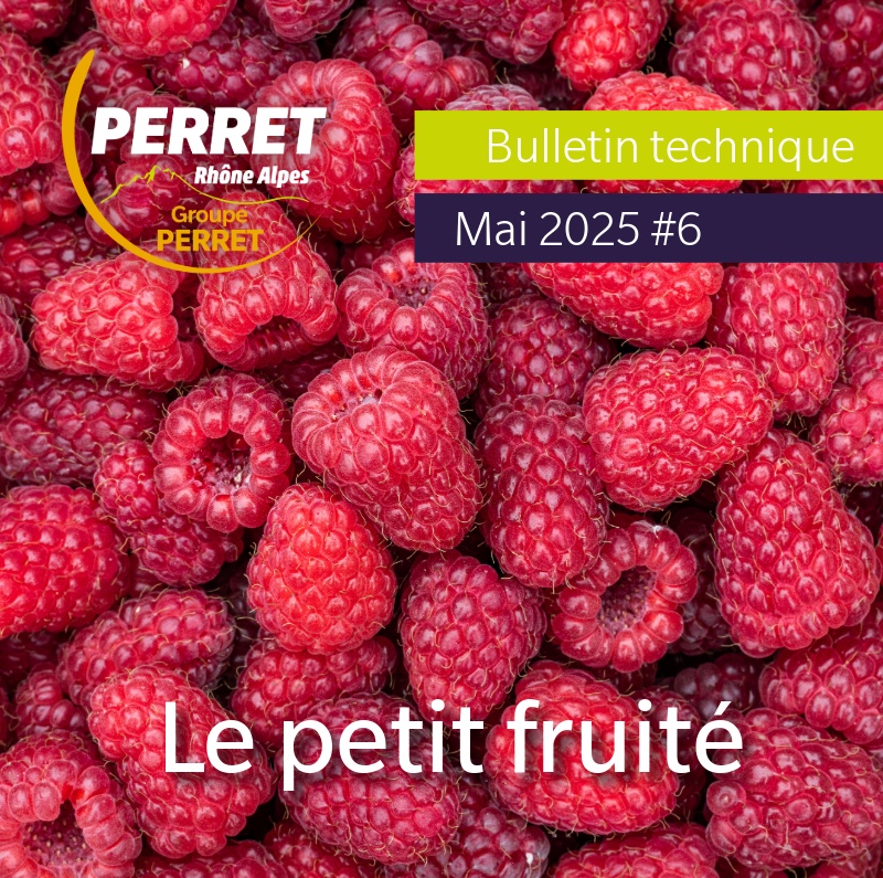 Le petit fruité mai 2025
