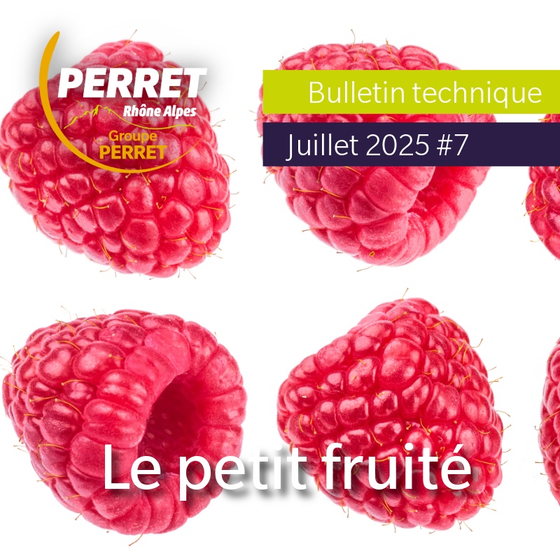 Le petit fruité juillet 2025