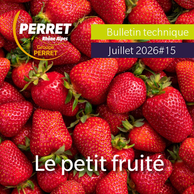 Le petit fruité juillet 2026