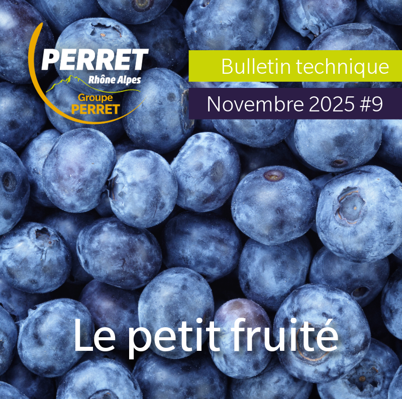 Le petit fruité novembre 2025
