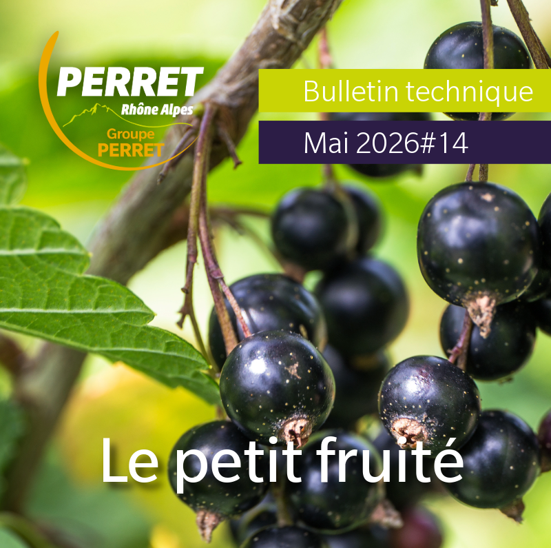 Le petit fruité mai 2026