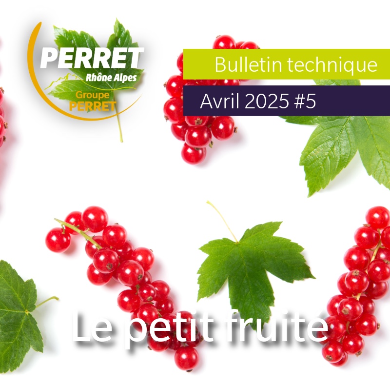 Le petit fruité avril 2025