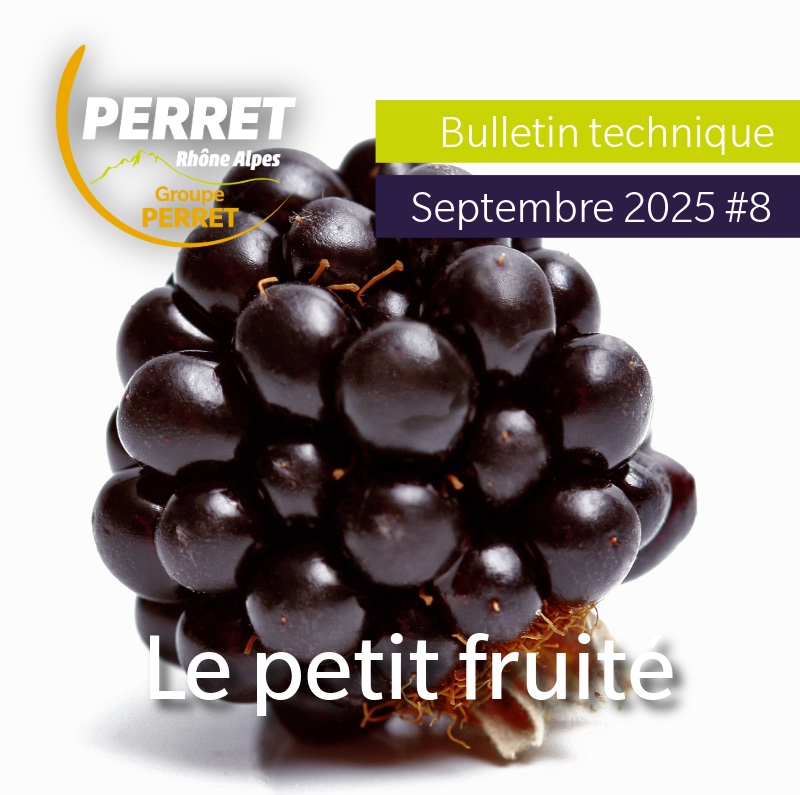 Le petit fruité septembre 2025