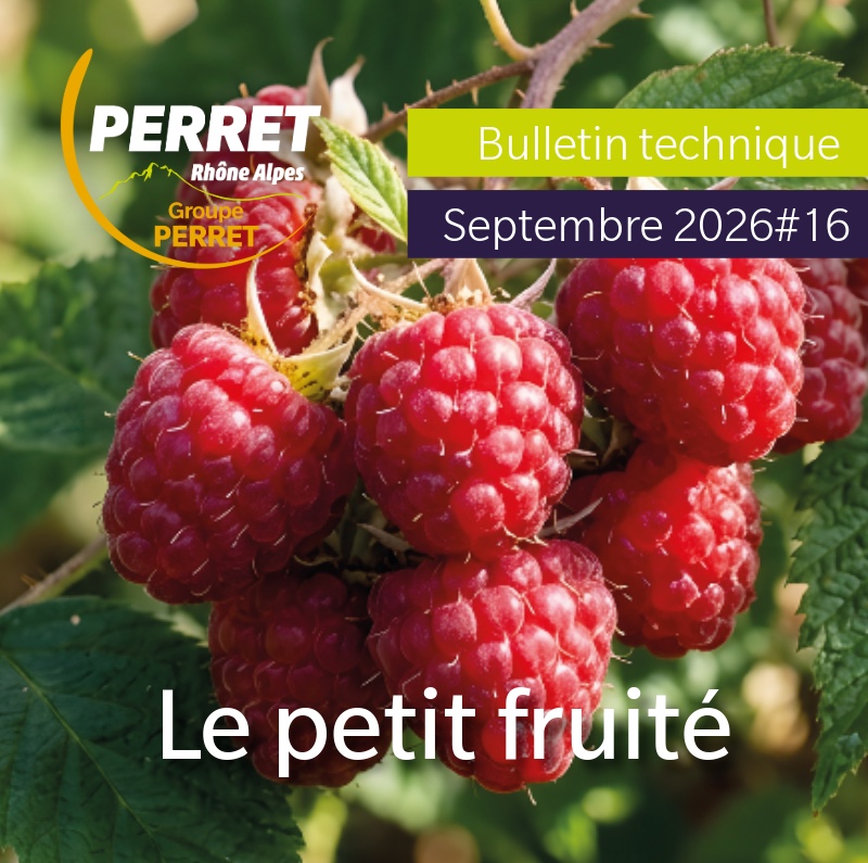 Le petit fruité septembre 2026